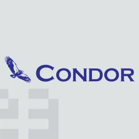 Condor earth technologies